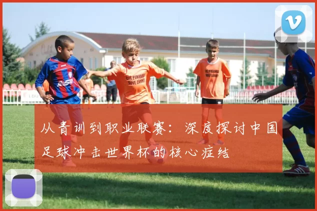 从青训到职业联赛：深度探讨中国足球冲击世界杯的核心症结