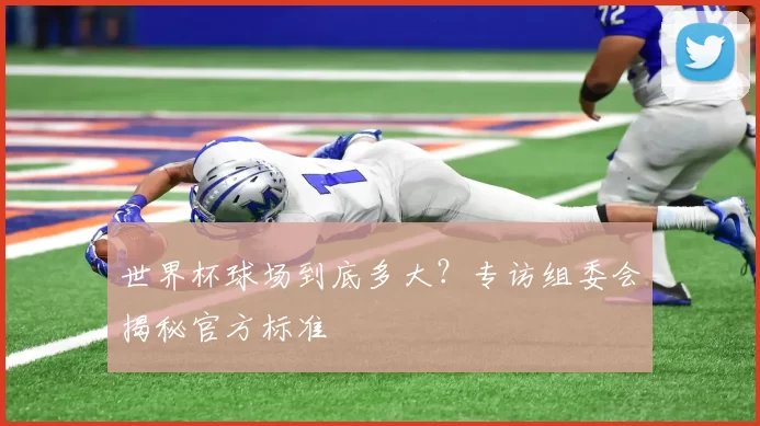 世界杯球场到底多大?专访组委会揭秘官方标准