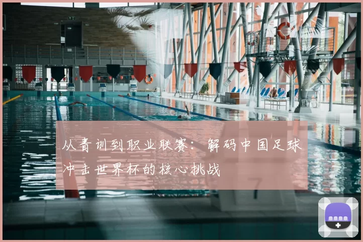 从青训到职业联赛：解码中国足球冲击世界杯的核心挑战