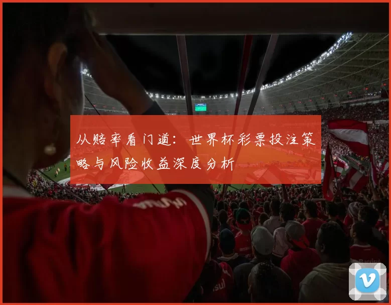 从赔率看门道：世界杯彩票投注策略与风险收益深度分析