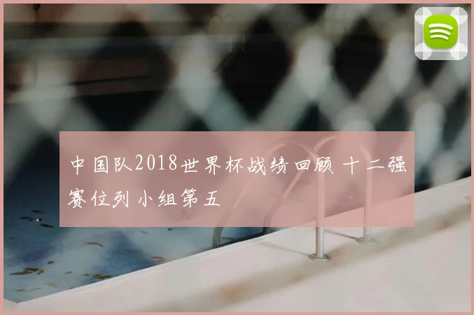 中国队2018世界杯战绩回顾 十二强赛位列小组第五