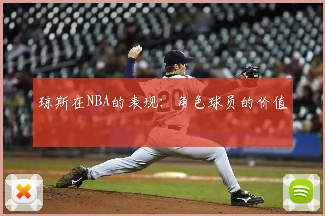 琼斯在NBA的表现：角色球员的价值