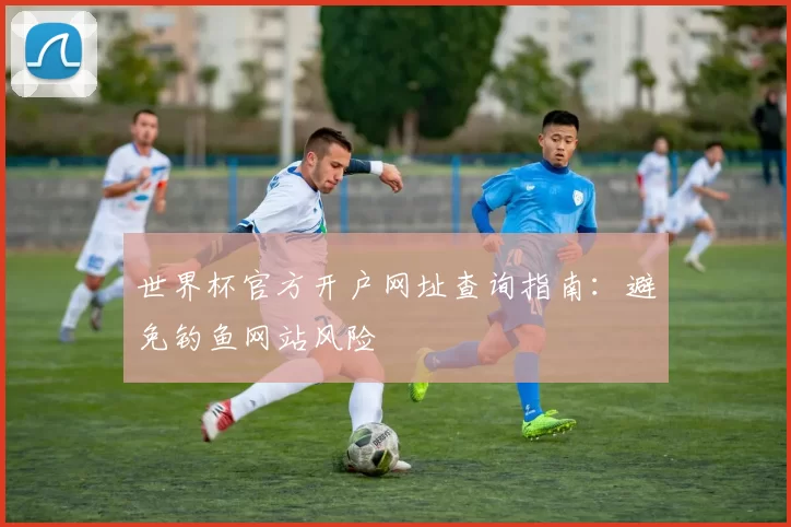 世界杯官方开户网址查询指南:避免钓鱼网站风险