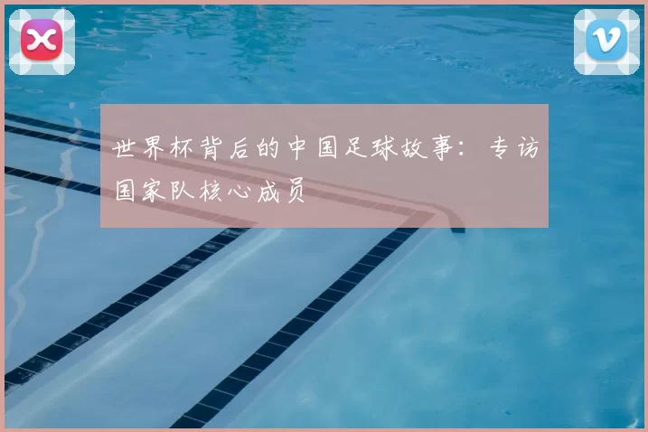 世界杯背后的中国足球故事：专访国家队核心成员