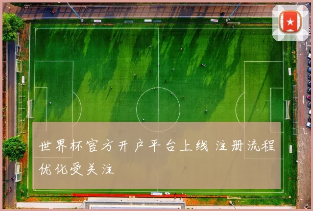世界杯官方开户平台上线 注册流程优化受关注