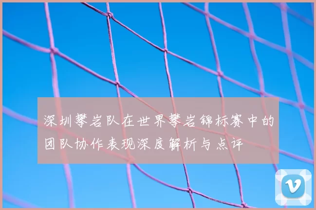 深圳攀岩队在世界攀岩锦标赛中的团队协作表现深度解析与点评