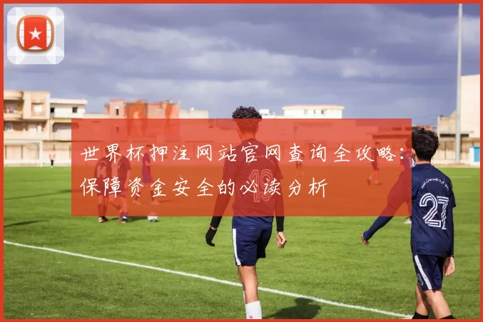 世界杯押注网站官网查询全攻略:保障资金安全的必读分析