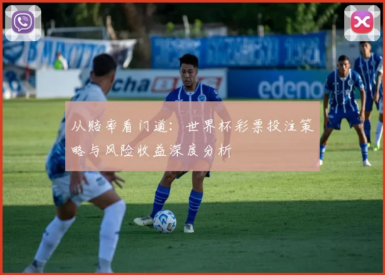 从赔率看门道：世界杯彩票投注策略与风险收益深度分析