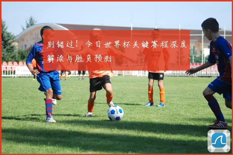 别错过！今日世界杯关键赛程深度解读与胜负预测