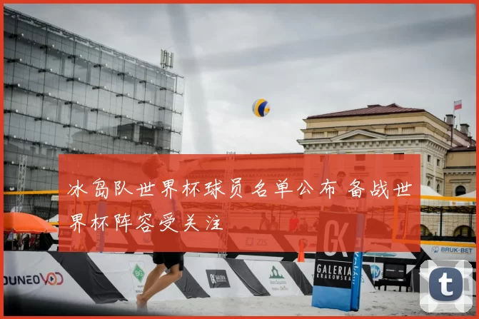 冰岛队世界杯球员名单公布 备战世界杯阵容受关注