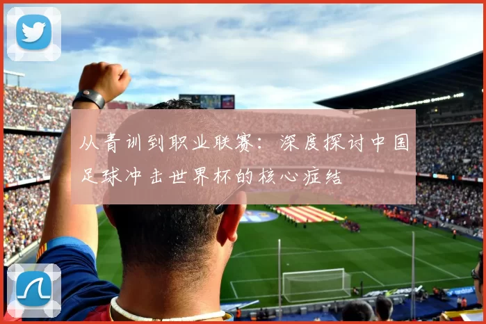 从青训到职业联赛：深度探讨中国足球冲击世界杯的核心症结