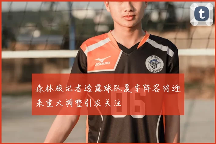 森林狼记者透露球队夏季阵容将迎来重大调整引发关注