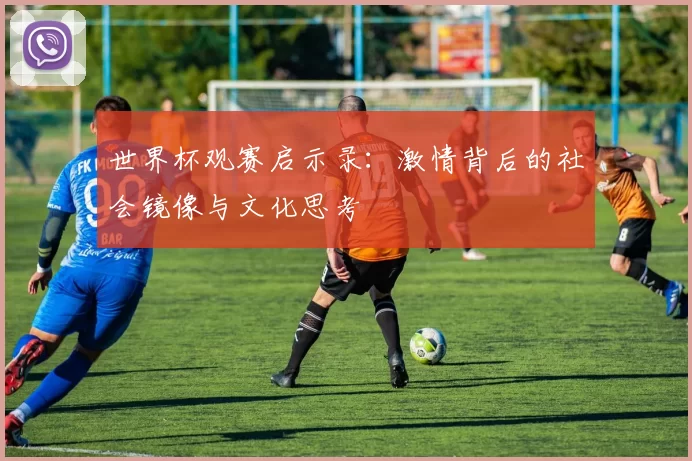 世界杯观赛启示录:激情背后的社会镜像与文化思考