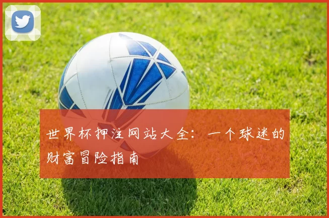 世界杯押注网站大全：一个球迷的财富冒险指南