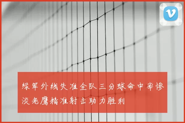 绿军外线失准全队三分球命中率惨淡老鹰精准射击助力胜利