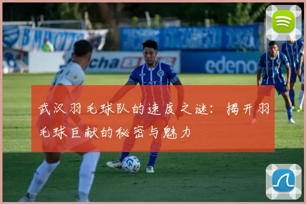 武汉羽毛球队的速度之谜:揭开羽毛球巨献的秘密与魅力