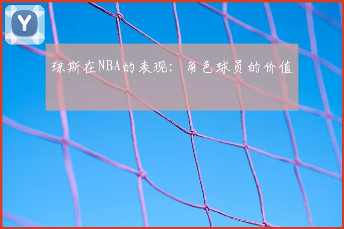 琼斯在NBA的表现：角色球员的价值